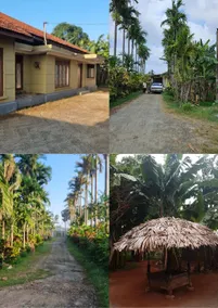Luxury Holiday Bungalow for Rent in Jaffna - Image 4