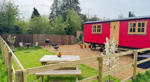 Slowhayes Retreat in the New Forest - Image 5