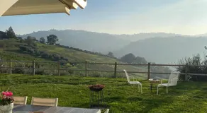 Poderino - a place to feel - Image 5