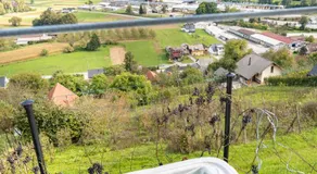 Hill Stars House - Image 4