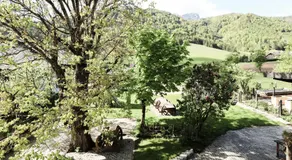 Urlaub am Bauernhof Feldbauer - Image 3