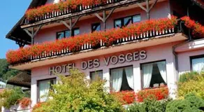 Hôtel Des Vosges - Image 5
