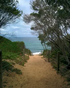 Bnb on Burrendong - Avalon Beach - Image 4