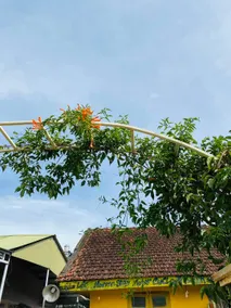 Bảo Lộc Homestay - Image 4