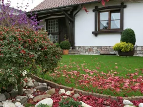 Warm Apartment in Bombogen with Private Parking - Image 2