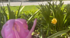 Spacious, Convenient & Cozy Stay Near Boston - Image 5