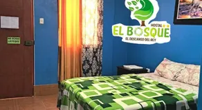 EL BOSQUE Hostal - Image 3