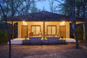 Saj In The Forest, Pench - Image 2