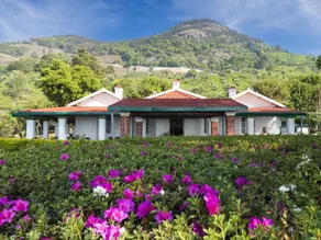 Adderley Bungalow - Image 5