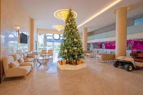 TTC Hotel - Ngoc Lan - Image 5