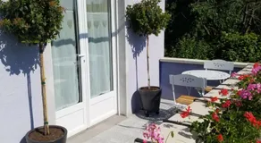 Les mésanges de l'Ill - Image 4