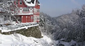 Waldgasthaus & Berghotel Steinerne Renne - Image 3