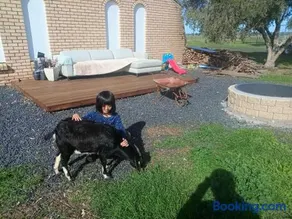Dubbo Farm - Image 4