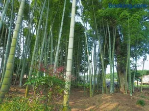 黒羽別邸旧後藤邸 - Image 4