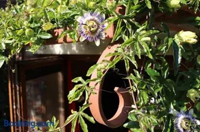 Gîte l'Ecurie - Image 3