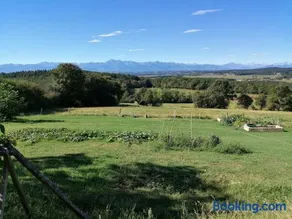 Hello Pyrenees - Image 4