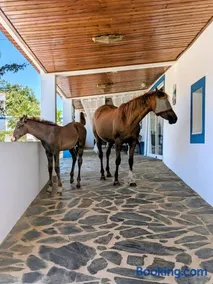 Monte da Pechincha - Country House & Spa - Image 3