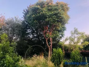 Maison Cosy & son jardin - Image 3