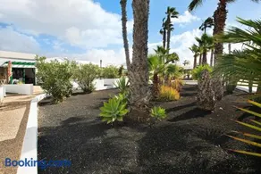 Jardin del Sol 22 - Image 3