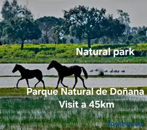 Villa Mirador del Sol, 45min playas de Doñana, 35min de Sevilla, Bodegas de Vinos - Image 4