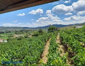 Vila Shehi Guesthouse and Winery - Image 4
