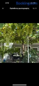 the grape house1 - Image 1