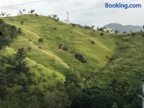 Tikiri Latha Hanthana - Image 3