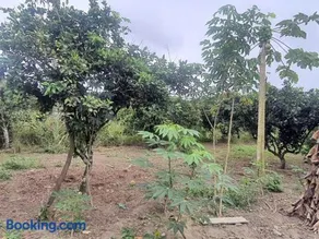 Sitio Rancho Feliz - Image 4