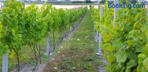 Domek przy winnicy - Image 1