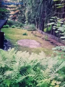 Abenteuerurlaub im Tannenwald - Image 3