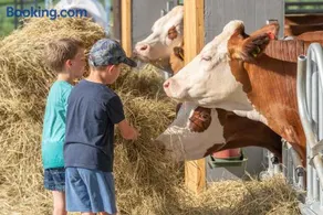Camping Agrisalus - Image 3