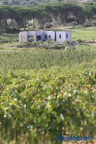 Villa Paolina - Image 2