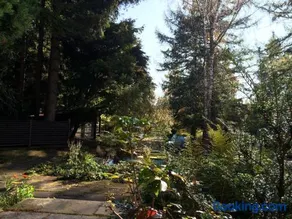Ferien Suite Braunlage - Image 3