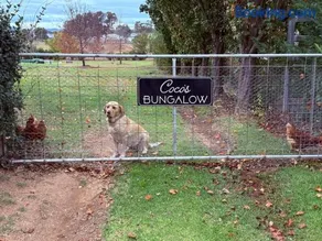 Coco's Bungalow - Image 4