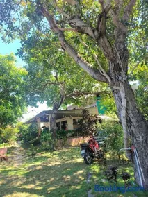 Biên Rừng Homestay - Image 3