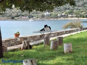 blueline guesthouse - Image 4
