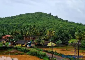 Mangrove Ecostay - Image 4