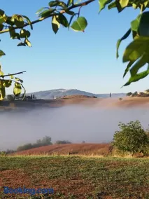 Podere Sant'Antonio - Image 4