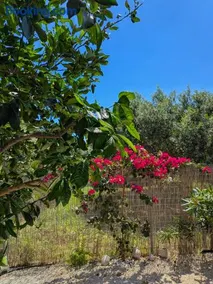 Oliviera Calm Home - 7 Min Walk to Beach View, Pool - Image 2
