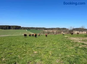 Biohof Liebhart - Image 3