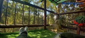 Boresta House -Santa Elena con vista al Bosque y terraza privada - Image 3