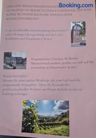 Tinyhaus Wolkenlos Familie Hamdorf - Image 2