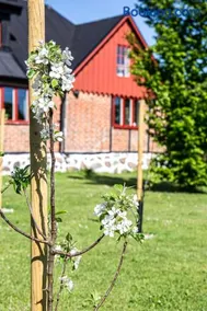 Ravlunda Byaväg 12 - Image 3
