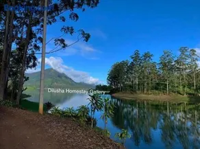 Dilusha Home Stay - Image 3