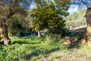 Casas Rurales Las Cuevas El Rincón - Image 2