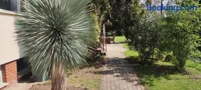 Mediterran Garden - Image 2