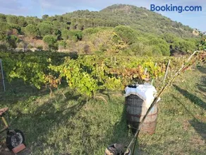Etnasentieri Wine house on Etna mount - Image 2