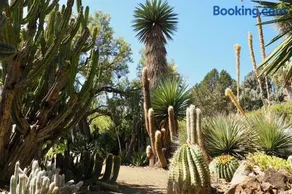 House in Tri-valley area ! Relaxing place to stay! - Image 3