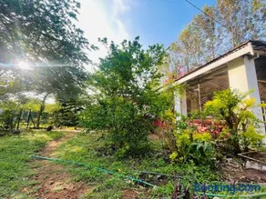 Wild Valley Club - Image 4