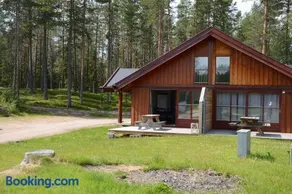 12 - Fulufjellets national parks - This is the place where Norway and Sweden meet in a large protected area for animals and nature - Image 2